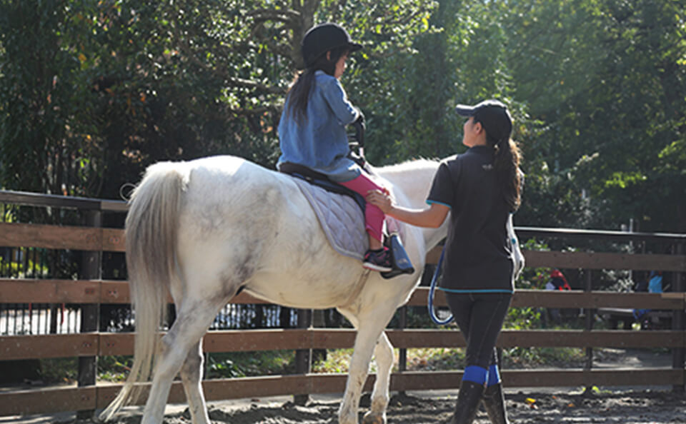 Pony Rider Skills Evaluation